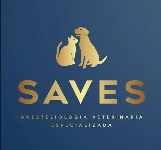 Oncologia Veterinaria