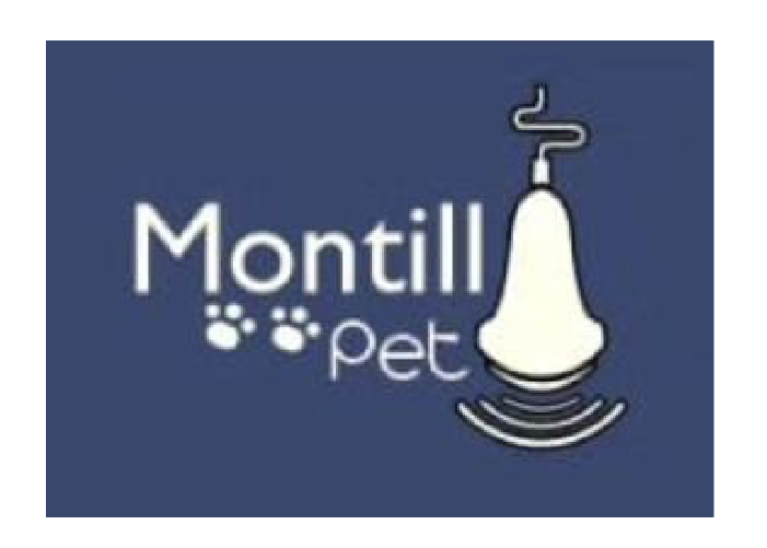 Montil