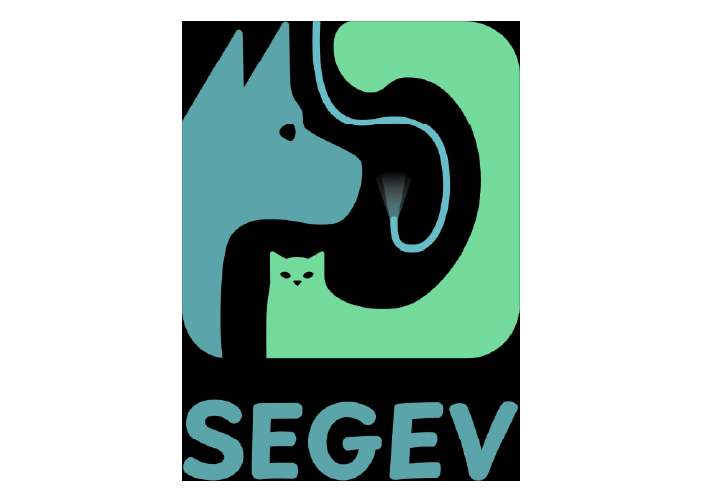 Segev
